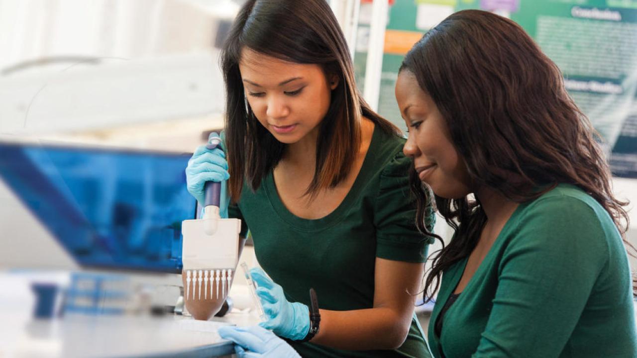 seton hall lab